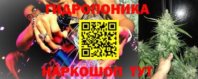 mdpv Краснознаменск
