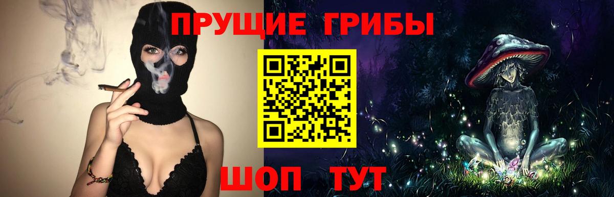 Галлюциногенные грибы GOLDEN TEACHER  как найти закладки  Галлюциногенные грибы Psilocybine cubensis  Ивантеевка  Вход с VPN 