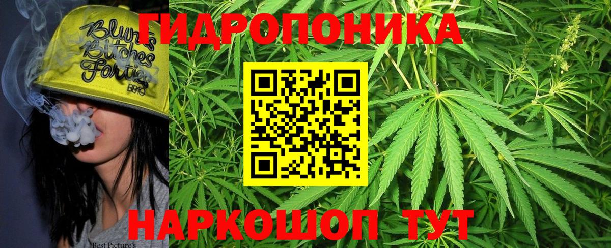 Бошки марихуана сатива  Марихуана Bruce Banner  Каннабис AK-47  Ивантеевка  Вход с VPN 